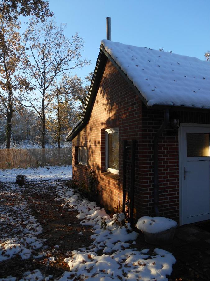 Ferienwohnung Villa Luett Bleckede Exteriör bild